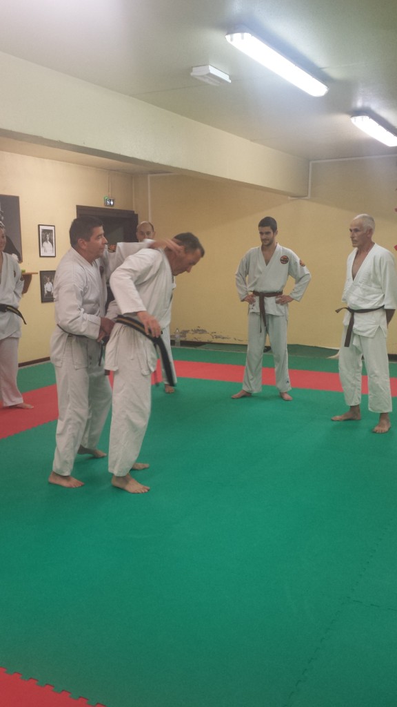 Nihon Tai Jitsu novembre 2015 (11)