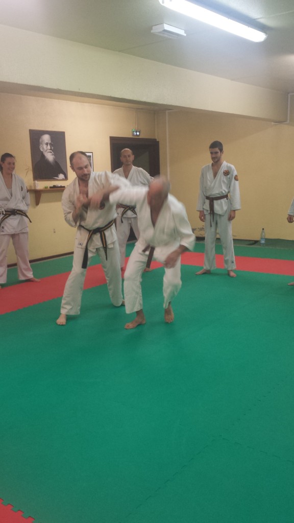 Nihon Tai Jitsu novembre 2015 (20)