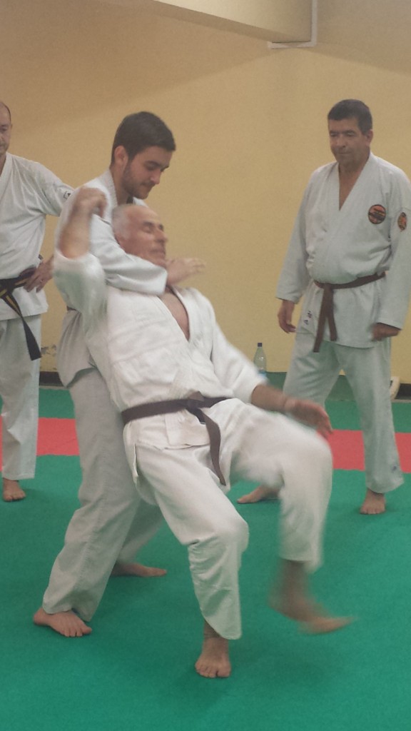 Nihon Tai Jitsu novembre 2015 (8)